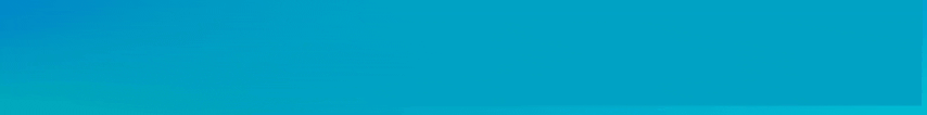 Banner 1